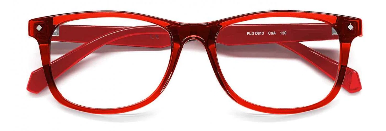 Polaroid Core PldD813 Eyeglasses - view 10